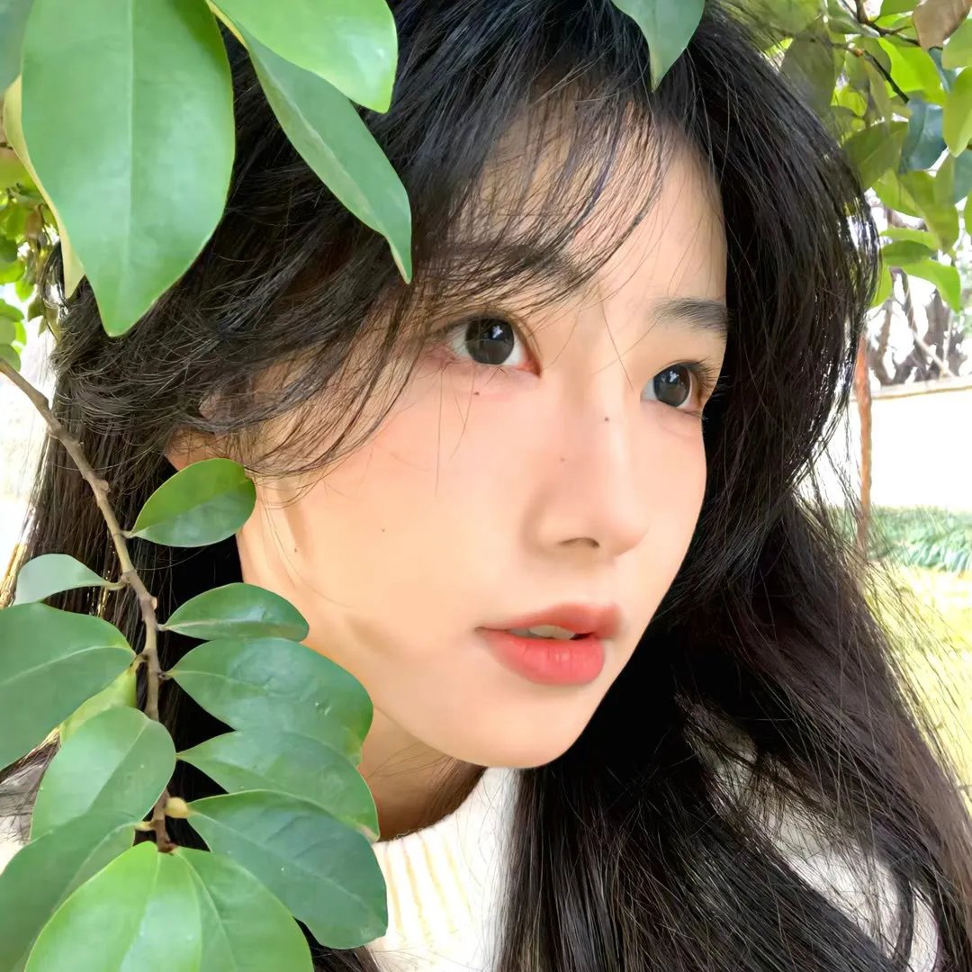 抢来的新娘